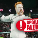 Sheamus' replacement from last tournament revealed