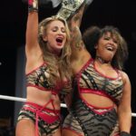 AEW Women's Tag Team Championship rematch set for World's End
