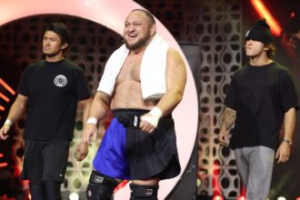 AEW World Title Match, Women's Tag Title, etc.