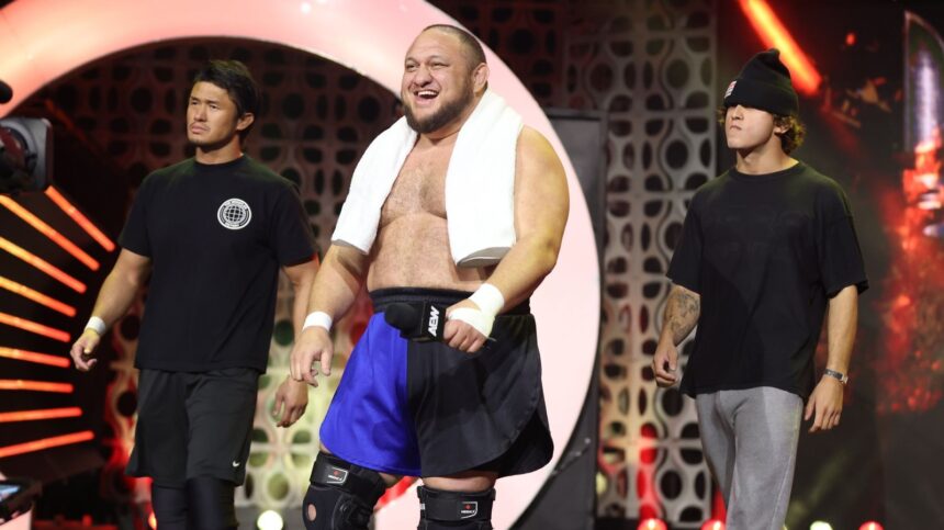 AEW World Title Match, Women's Tag Title, etc.