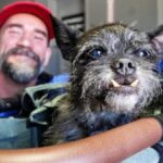 CM Punk's dog Larry passes away: Heartfelt tribute