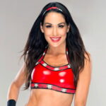 Brie Bella WWE Return Update