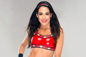 Brie Bella WWE Return Update