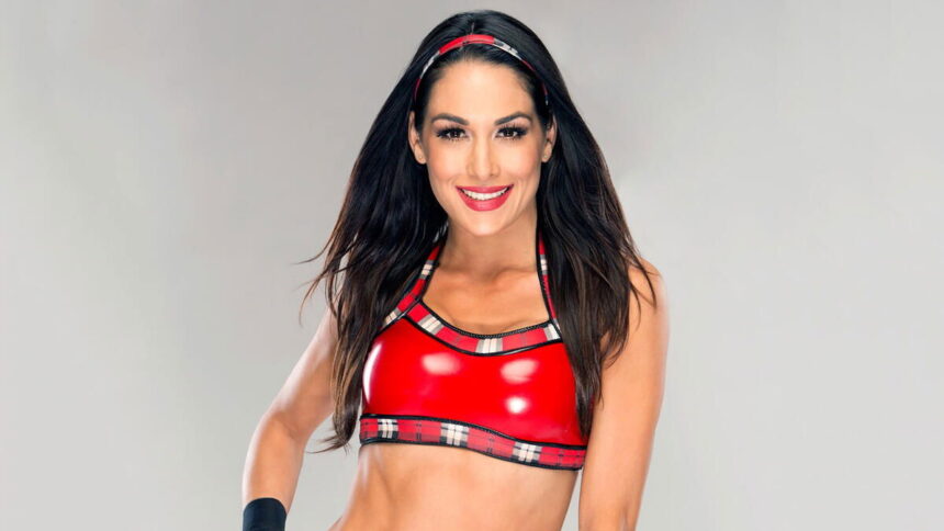 Brie Bella WWE Return Update