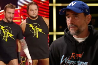 CM Punk Recalls Heartfelt Bray Wyatt Conversation Following Nexus WWE Split