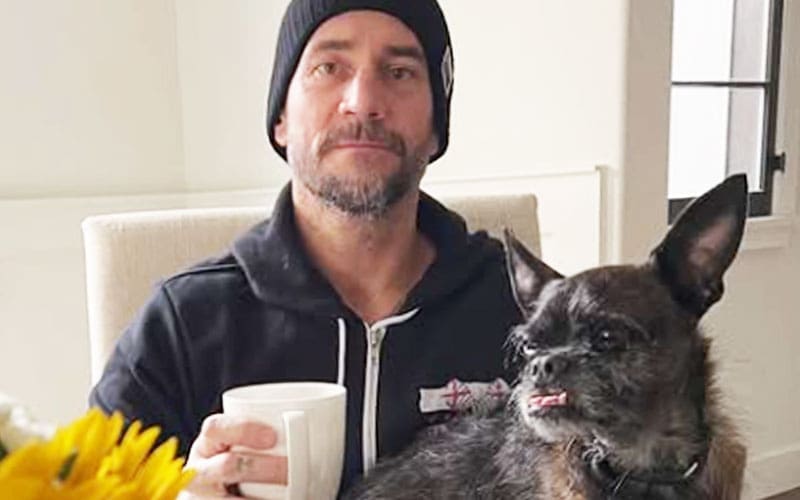 CM Punk mourns the death of his dog Larry with a heartbreaking Instagram post