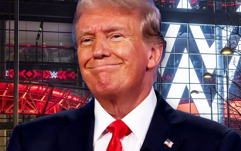 Donald Trump played a key role in controversial WWE return