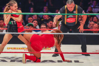 Natalya's "Humble Legend" character appears on the main roster for the first time