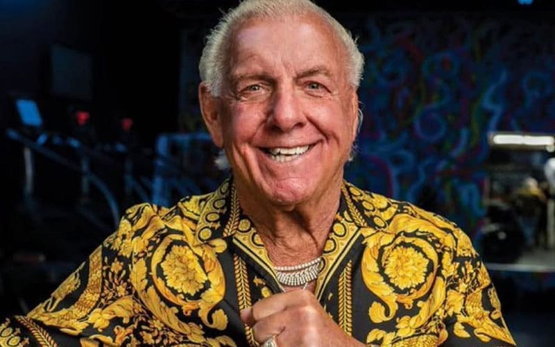 Ric Flair's wild night in Austin saw him slap a flight attendant and carry $200,000 in cash.