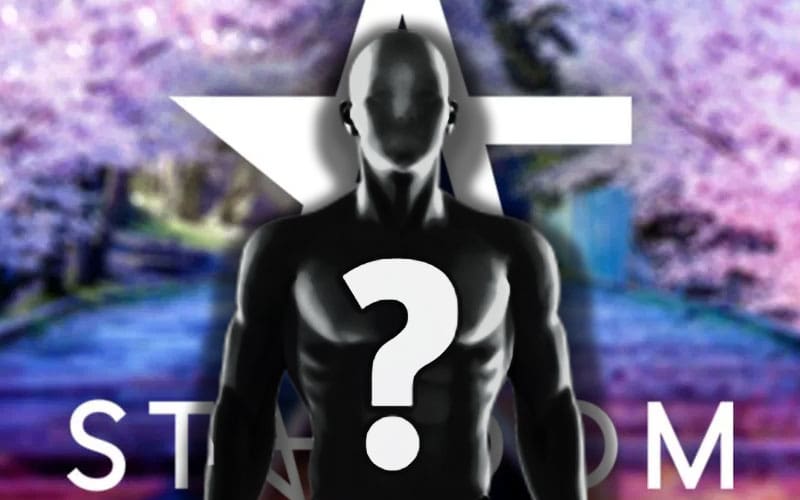 Stardom releases cryptic teaser hinting at possible new contract