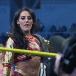 Tessa Blanchard: ``An incident from 10 years ago continues to be twisted into something that has nothing to do with race.''
