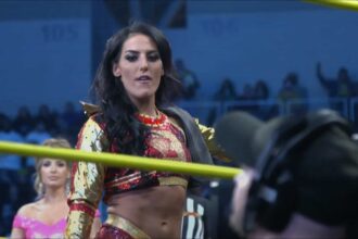 Tessa Blanchard: ``An incident from 10 years ago continues to be twisted into something that has nothing to do with race.''