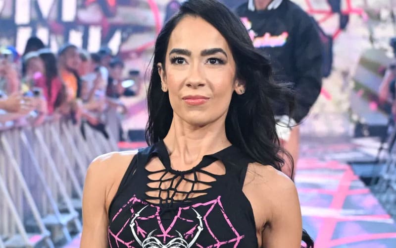 AJ Lee's WWE status update reveals surprising changes after reporting full-time