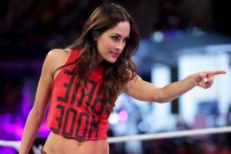 Brie Bella comments on possible return to WWE