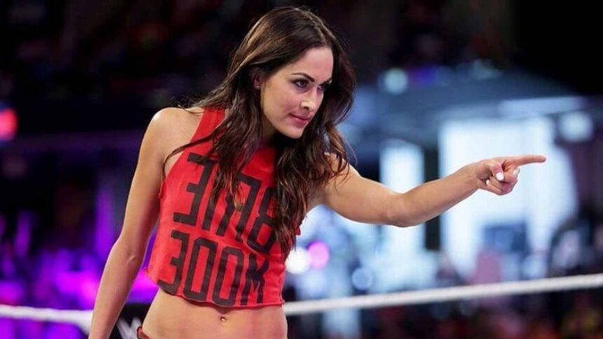 Brie Bella comments on possible return to WWE