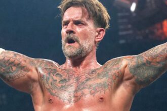 CM Punk likely in concussion protocol after brutal landing on WWE RAW