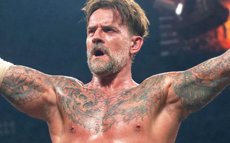 CM Punk likely in concussion protocol after brutal landing on WWE RAW