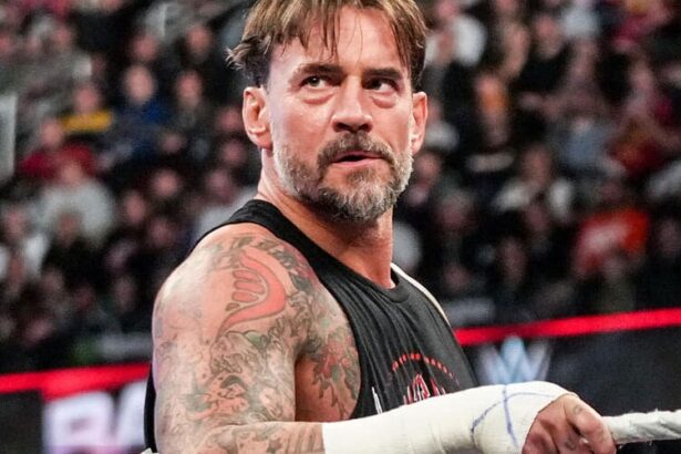 CM Punk does not participate in WWE concussion protocol after RAW match