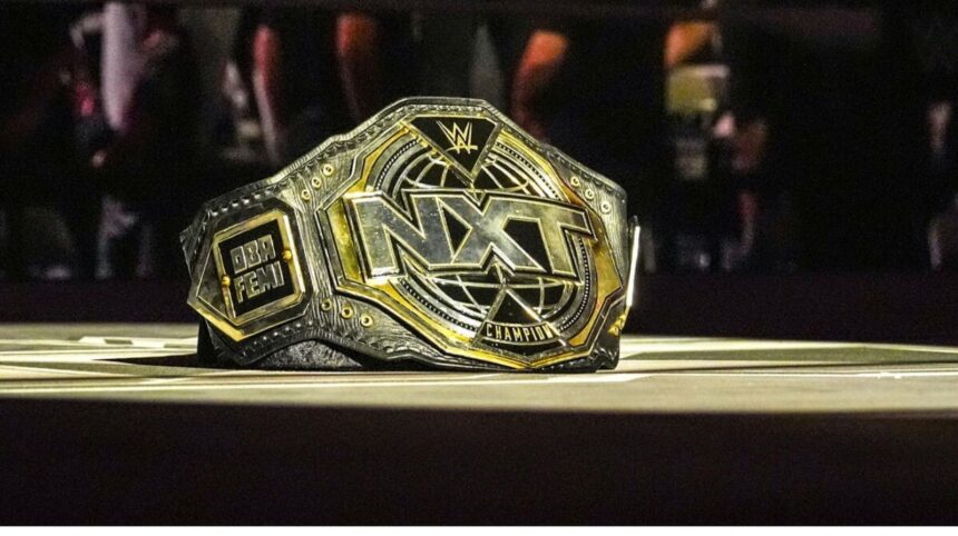 Last contestant earns spot in vacant WWE NXT Title Ladder Match