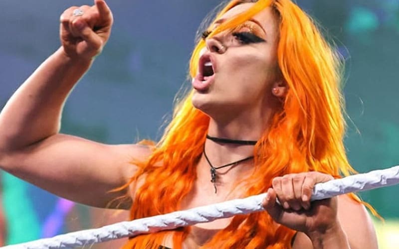 Priscilla Kelly addresses fan criticism after controversial return to Twitter