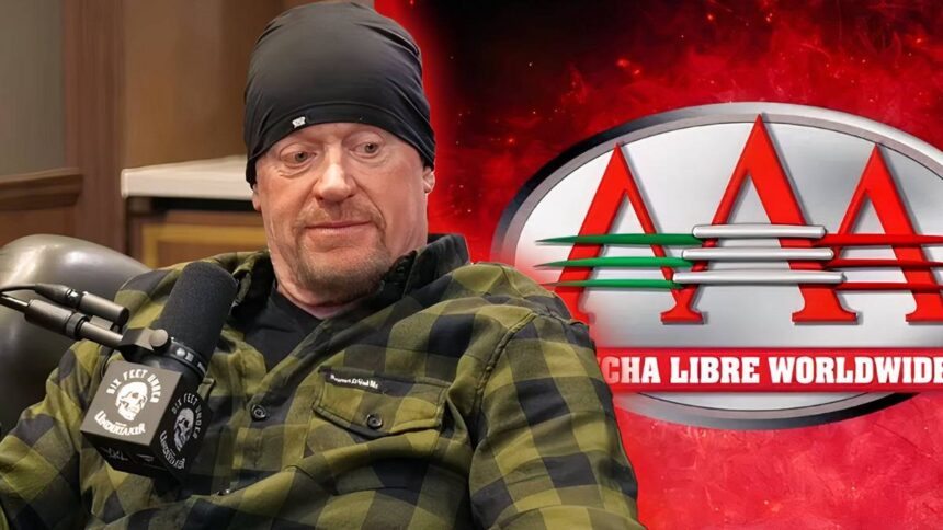 The Undertaker explains the brand's creative plans