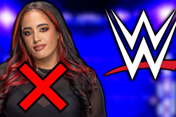 Ava WWE NXT Replacement