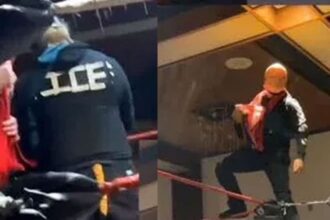 Wrestler fired after wearing controversial 'ICE' T-shirt at event