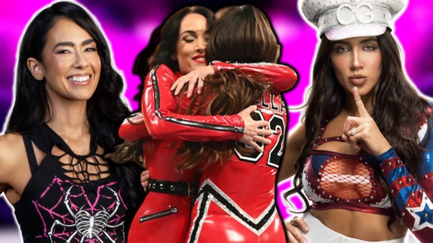 Bella Twins WWE Return Plans