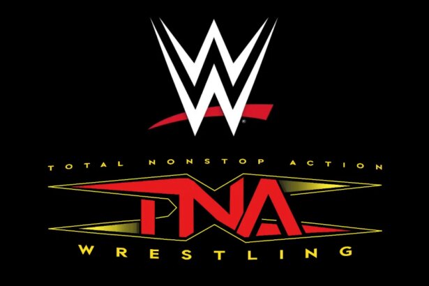Top TNA Wrestling Star Suffered Neck Injury During WWE Match