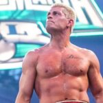 Ranking of the top 10 WWE Royal Rumble winners of the past 10 years