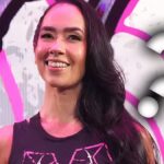 What is WWE doing with AJ Lee?