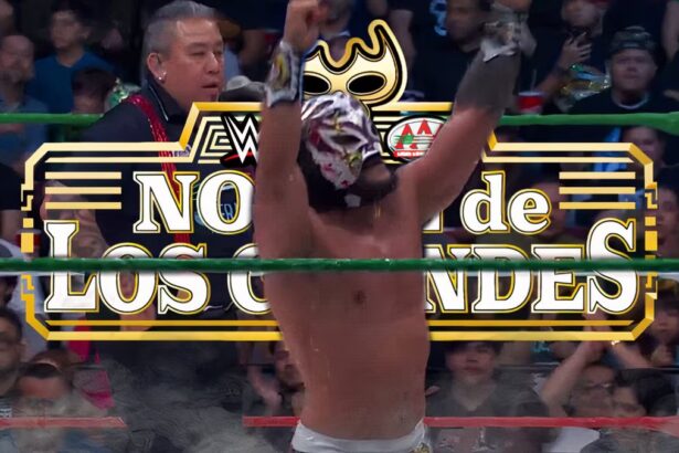 Ranking and review of all matches